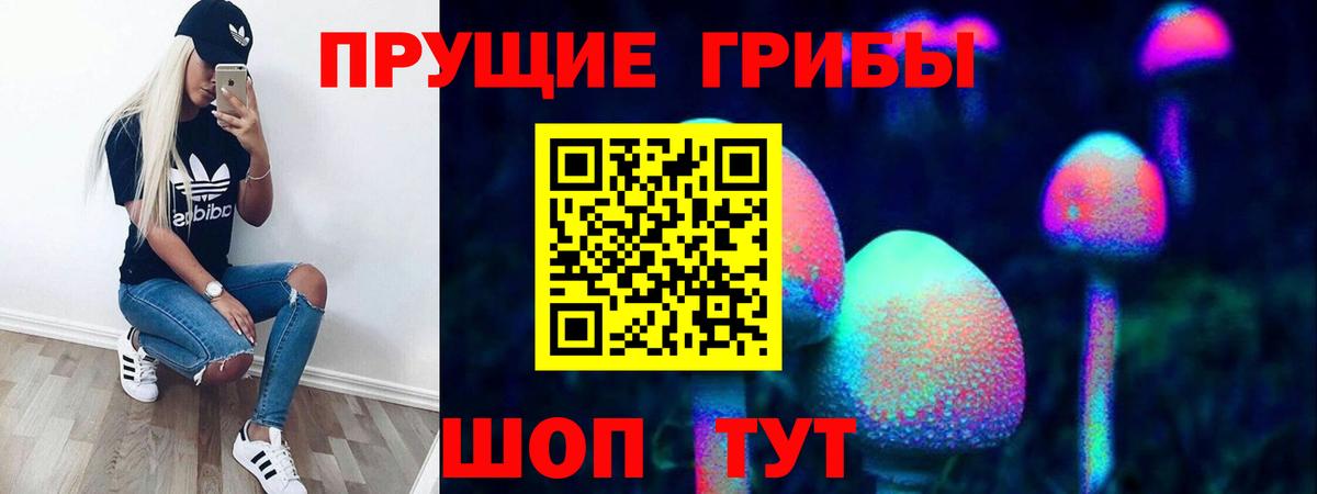Сосновый Бор  Галлюциногенные грибы Magic Shrooms  Вход с VPN  Галлюциногенные грибы мицелий 